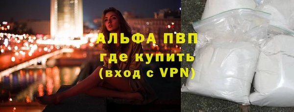 стаф Богородск