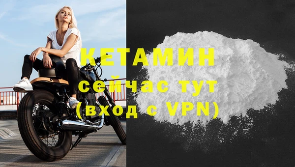 стаф Богородск