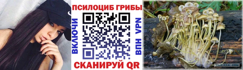 Галлюциногенные грибы мицелий  Купить закладки  Рошаль 